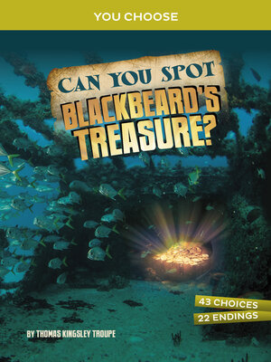 cover image of Can You Spot Blackbeard's Treasure?
